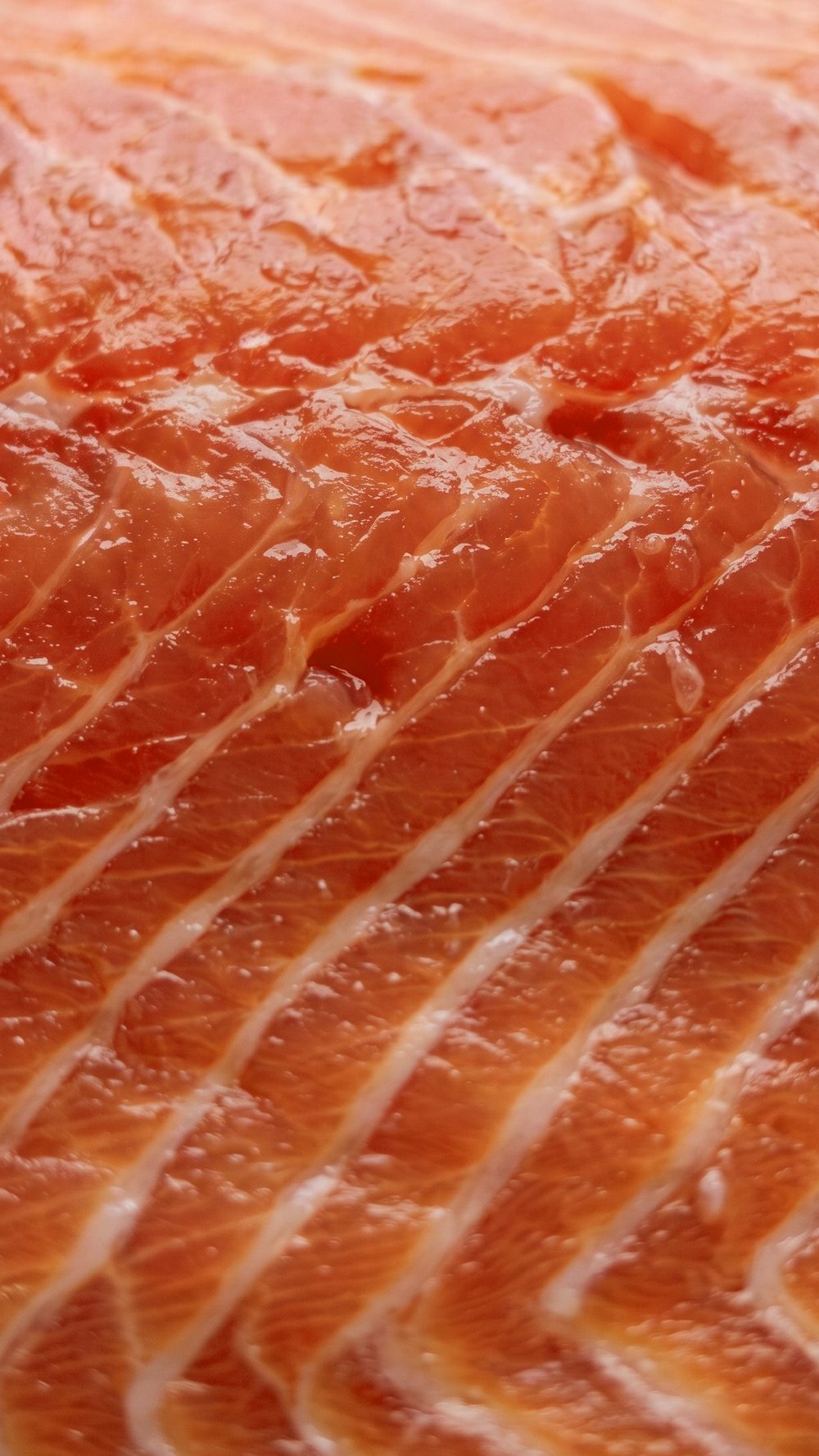 Textura de un filete de trucha crudo con sus vetas